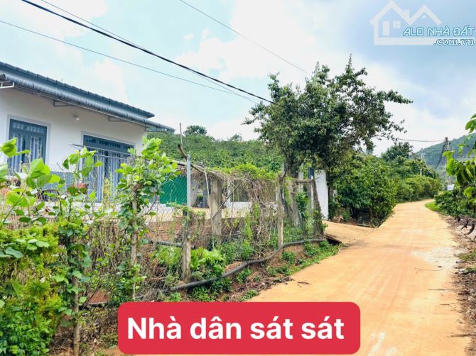👊Bán đất Mê Linh giáp Đà Lạt 250m2 giá chỉ 699tr. - 4