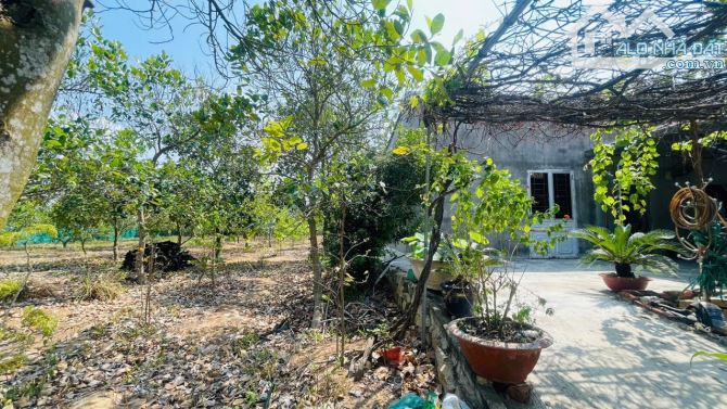 Căn Nhà Vườn Giá Rẻ Ngay Gần Thành Phố Bà Rịa Cần Bán  ✅Địa chỉ xã Tam An - Long Đất - BRV - 4