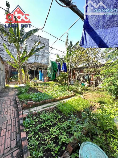 Bán 800m2 ngang 44m full thổ cư P.AN HOÀ VỊ TRÍ 2, 1 sẹc QL.51 vô 50m, Giá chỉ 8ty8 - 5