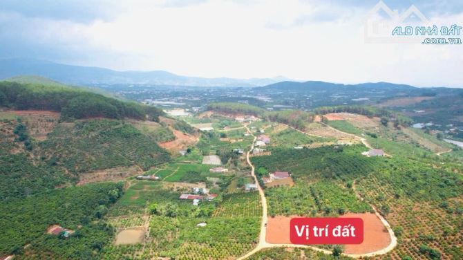 👊Bán đất Mê Linh giáp Đà Lạt 250m2 giá chỉ 699tr. - 5