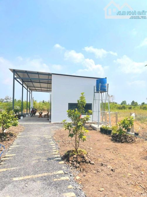 Nhà vườn 500m2 đất 10x 50m, View kênh cực đẹp chỉ 899tr - 6