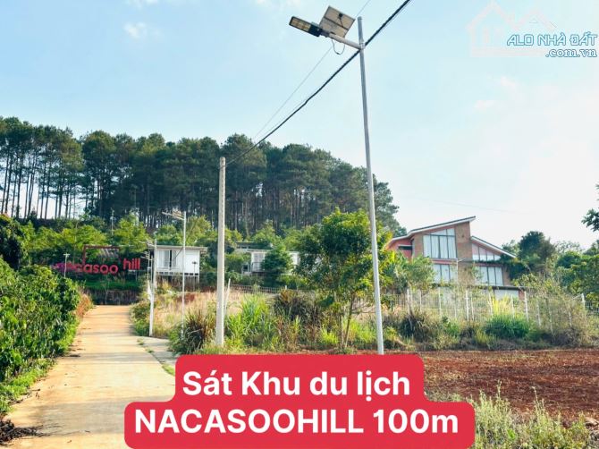 👊Bán đất Mê Linh giáp Đà Lạt 250m2 giá chỉ 699tr. - 6