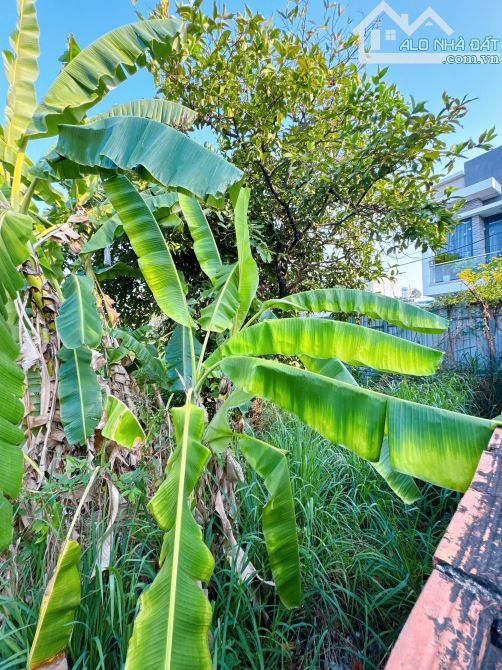 Bán lô đất Ngang 6m trung tâm Cv 30/4 Hẻm Sao Mai P.Tân Biên .Tp Biên Hoà - 6