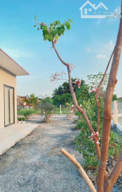 Nhà vườn 500m2 đất 10x 50m, View kênh cực đẹp chỉ 899tr - 8