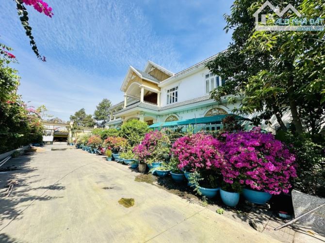Biệt Thự + Kho Xưởng 3.222m² – Mặt Tiền Nguyễn Trung Trực – Trung Tâm Dĩ An – Chỉ 75 Tỷ – - 8