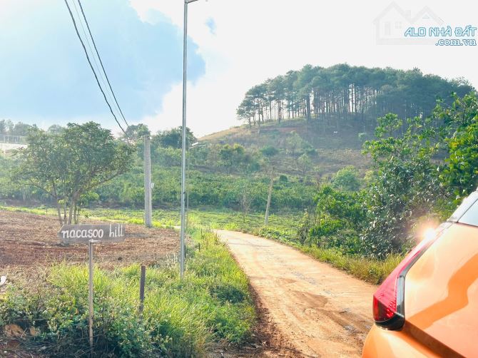 👊Bán đất Mê Linh giáp Đà Lạt 250m2 giá chỉ 699tr. - 9