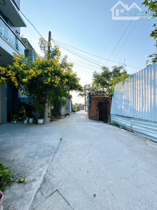 Bán lô đất Ngang 6m trung tâm Cv 30/4 Hẻm Sao Mai P.Tân Biên .Tp Biên Hoà - 9