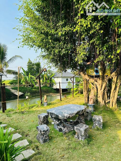 ❌❌❌FARM STAY 1 MẪU 1 GẦN HỒ TRÀM CẦN CHUYỂN NHƯỢNG - 9
