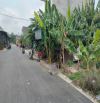KHU DÂN CƯ TÂN ĐỨC – KHU CÁNH ĐỒNG DIỀU ĐỨC HÒA, GIÁ RẺ