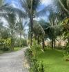Bán siêu phẩm homestay ngay biển phước hải vũng tàu giá ngộp đầu tư gấp quá rẻ ạ