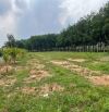 Sở Hữu Đất Nền Bình Dương – Giá Tốt, Pháp Lý Chuẩn
