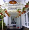 CHO THUÊ VILLA SÂN VƯỜN 5 PHÒNG NGỦ MAI ANH ĐÀO PHƯỜNG 8 TP ĐÀ LẠT 25TR/THÁNG