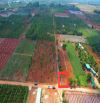 CHỈ HƠN 900tr CHO 1000m2 - ĐẤT LÀM NHÀ VƯỜN NGHỈ DƯỠNG NGAY TẠI TP BUÔN MA THUỘT