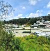 Bán đất view đẹp đồi thông khu dân cư trung tâm Đà Lạt, đi chợ đêm chỉ 3km