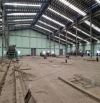 Cho thuê kho xưởng Cụm CN Đức Hòa , Long An, KV: 40.000m2, X :20.000m2
