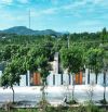 VƯỜN XOÀI THỊ TRẤN PHƯỚC HẢI- GẦN BIỂN PHƯỚC HẢI - LONG ĐẤT - BRVT