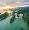 Sốc 2,3 tỉ căn hộ 5* flamingo Cát Bà view biển 40m ban công rộng sẵn sổ và lợi nhuận ngay