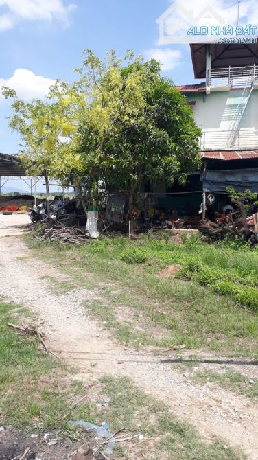 Kẹt tiền bán nhanh-Đất Ba Bàu-Hàm Thạnh-Hàm Thuận Nam-Bình Thuận-DT hơn 4,6Ha
