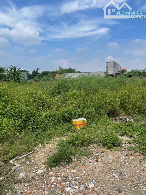 ĐẤT 3.395M² FULL THỔ – ĐƯỜNG VÕ THỊ LIỄU, AN PHÚ ĐÔNG, Q12 – 2 SỔ RIÊNG