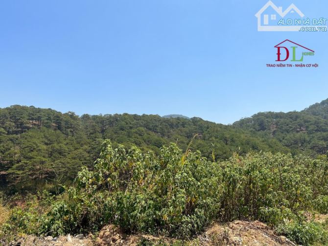 SẢN PHẨM ĐẦU TƯ lô đất Hoàng Hoa Thám Đà Lạt view thung lũng thông  7571m2 giá chỉ 18tr/m