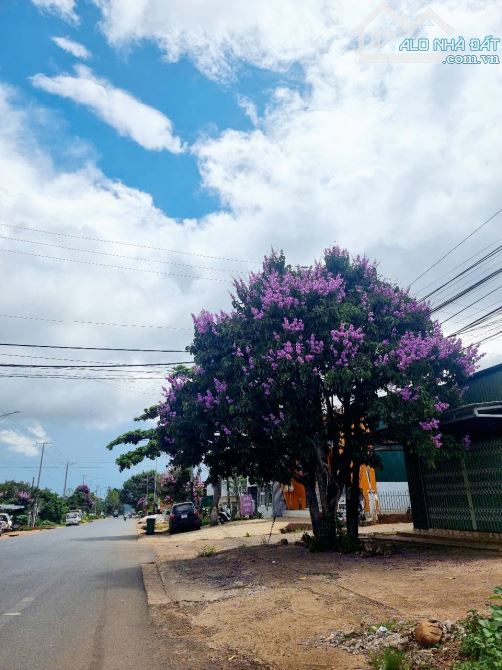 Bán lô đất thị trấn Liên Nghĩa- Đức Trọng-🔥mặt tiền Quốc Lộ 20 🔥2 lô