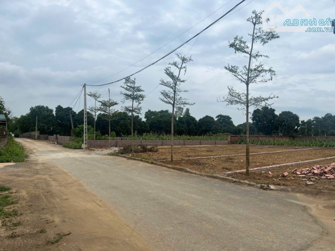 Bán nhanh lô đất 100m2 cách QL21 chỉ 300m thuộc Phú Cát, Quốc Oai