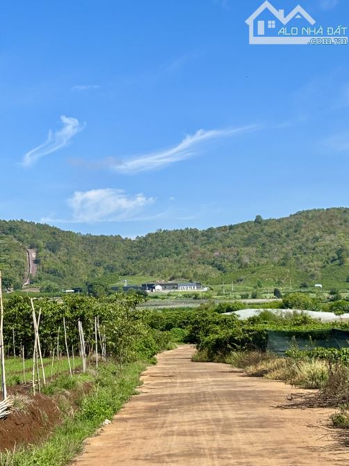 Đức Trọng_ Lâm Đồng. bán 2 sào đất xã Liên Hiệp giá chỉ 1ty8