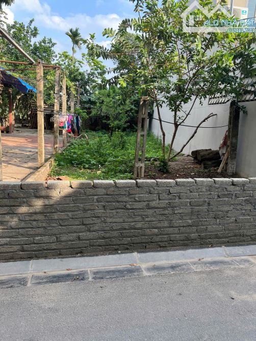 Bán đất Đông Anh, lô góc, view sông, kd,oto 7 chỗ,giá rẻ. - 1