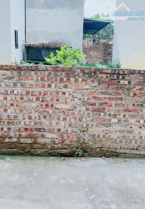 HOA HẬU PHÂN LÔ Ô BÀN CỜ TÀM XÁ GẦN NGAY CẠNH VINCỔLOA 121M ZÁ RẺ - 1