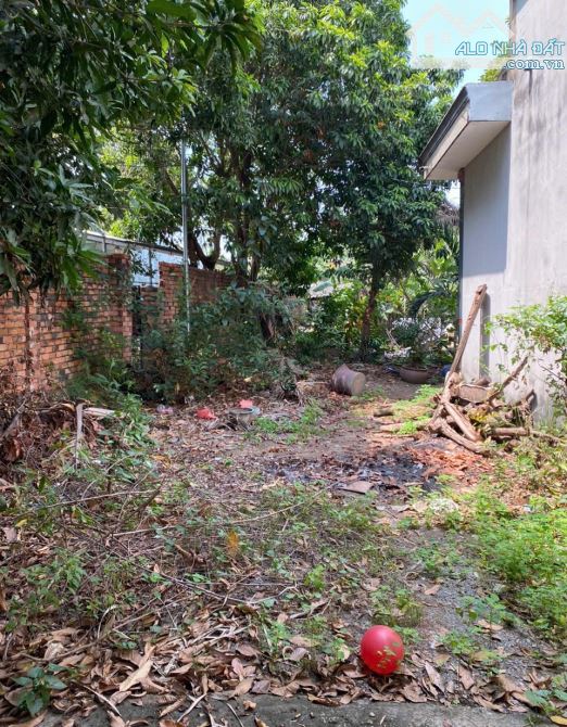 D206 🆘 Thanh Lí Lô Đất Phường An Hoà Cách Đường Ngô Quyền 100m .  • diện tích 6 x 46 tổng - 1