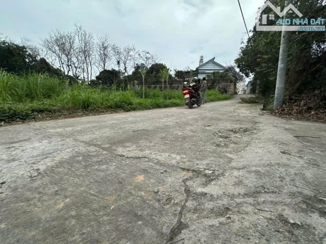 Bán nhanh lô đất 152m2 Tam Đảo, sổ đỏ, chỉ 5xx triệu - 2
