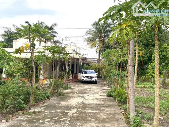 5000m2 đất góc 2 mặt tiền đường Nguyễn Thị Rành, xã Nhuận Đức giá 30 tỷ - 1