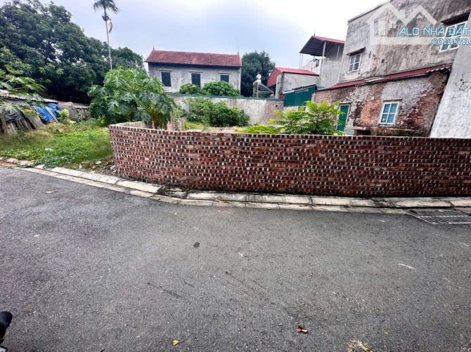 Bán đất Ngọc Động – Mặt tiền rộng – An sinh đỉnh – 46m2 – 4.1 tỷ - 1