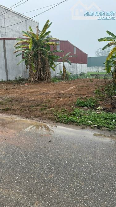 CẦN BÁN LÔ ĐẤT MẶT ĐƯỜNG QUỐC LỘ 2B CŨ – KIM LONG, TAM DƯƠNG, VĨNH PHÚC 100m2 - 1