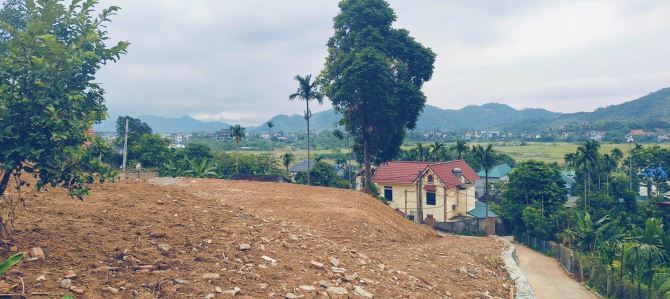 Đất sẵn sổ 1215m giá rẻ nhất thị trường chủ cần bán, cơ hội đầu tư lãi ngay khi mua - 1