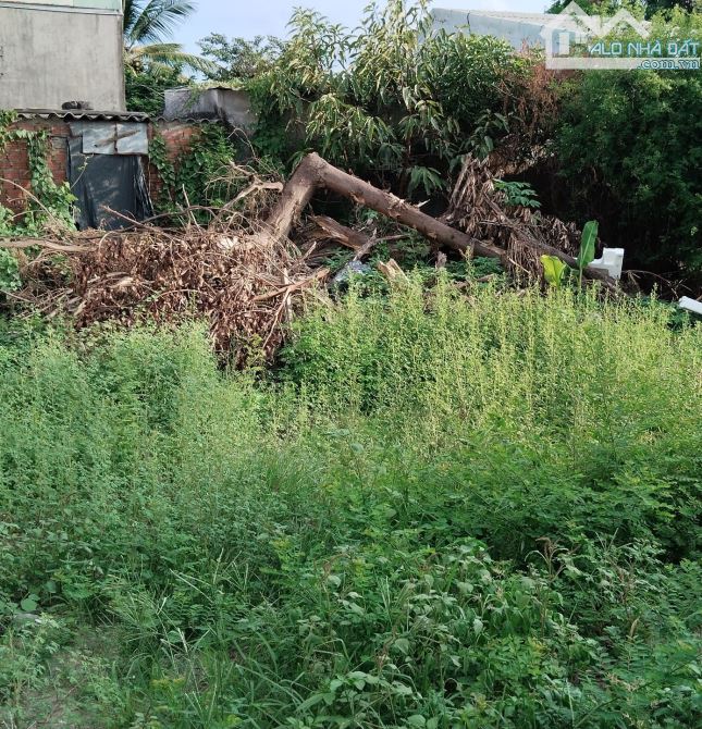 Lô 2 mặt kiệt, 136 m2, 2 tỷ 750, nở hậu, kiệt ô tô 3m5, Nguyễn Như Đỗ, Cẩm Lệ - 1