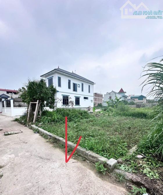 Bán đất Xâm Thị – Hồng Vân – Thường Tín – 61m² – Ô tô đỗ cửa – hơn 2 tỷ - 1