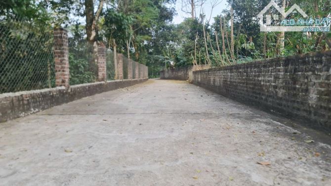 Đất thôn Dy, Minh Quang, Ba Vì, view núi, nở hậu, 965m, 250tc, mt 24m, oto tránh, 3.53tỷ - 1