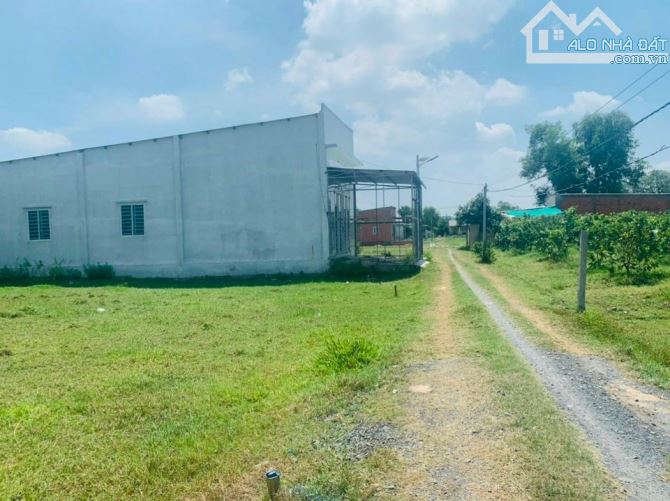 Nền đất đẹp nằm ngay 1 sẹc đường Hoa Tulip, Thị Trấn Đức Hòa, 4x28 (112m2), giá 850Tr - 1