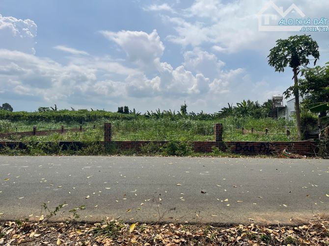 CẦN BÁN LÔ ĐẤT MẶT TIỀN NHỰA 1383 m² (120 đất ở ) LONG PHƯỚC – TP. BÀ RỊA – VŨNG TÀU - 1