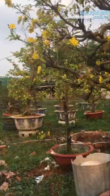 Bán đất rộng Hóc môn , 2.837 m2 , sổ đỏ