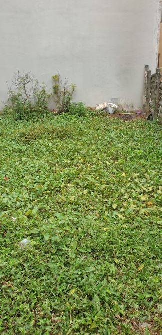 Giảm 300tr! Đất P/Lô ĐG Giang Biên, vỉa hè ô tô tránh, kinh doanh, 75m, MT 5.4m, giá 11tỷ - 1