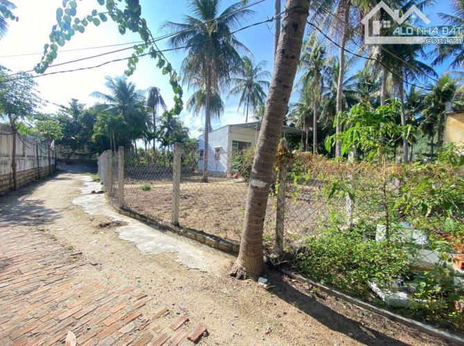 Bán đất View sông Công Ngọc Thảo, phường Ngọc Hiệp, tp. Nha Trang - 2