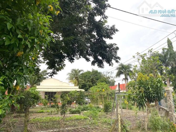 5000m2 đất góc 2 mặt tiền đường Nguyễn Thị Rành, xã Nhuận Đức giá 30 tỷ - 2