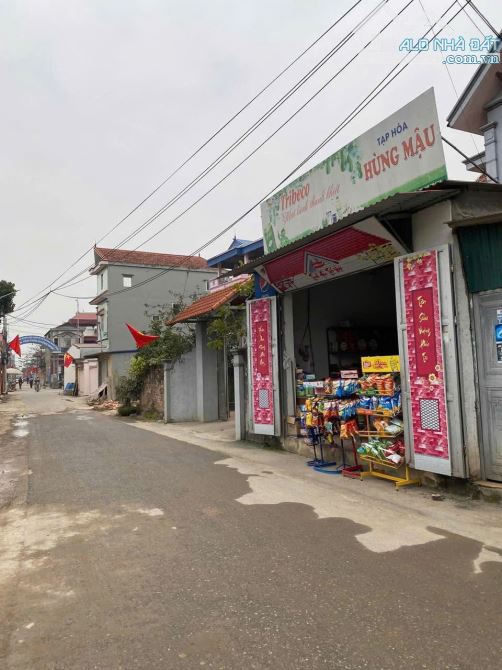 Chủ nhà gửi bán lô đất cách 1 nhà ra trục chính Đường Nhạn, Xuân Nộn, Đông Anh, Hà Nội - 2