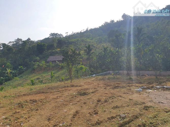 Đất sẵn sổ 1215m giá rẻ nhất thị trường chủ cần bán, cơ hội đầu tư lãi ngay khi mua - 2