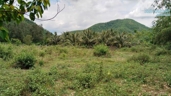 Bán lô đất view sông Cu Đê, 50 tỷ, 9956 m2, mặt tiền 160m, Hòa Bắc, Hòa Vang, Đà Nẵng - 2