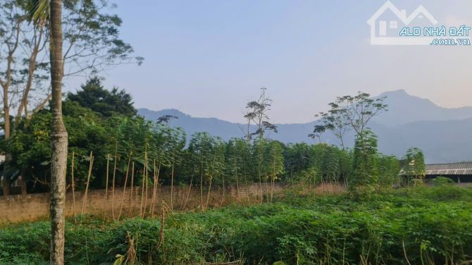 Đất thôn Dy, Minh Quang, Ba Vì, view núi, nở hậu, 965m, 250tc, mt 24m, oto tránh, 3.53tỷ - 2