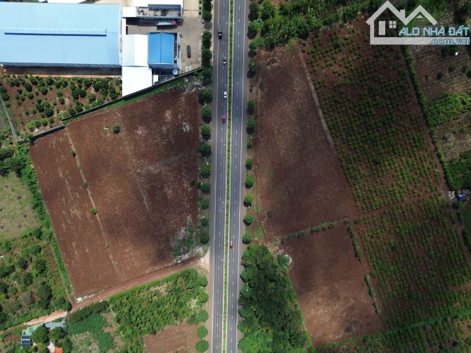 BÁN ĐẤT MẶT TIỀN 10/3 HƯỚNG BẮC, MỖI THỬA 1000 M2, GIÁ 5.5 TỶ - 2