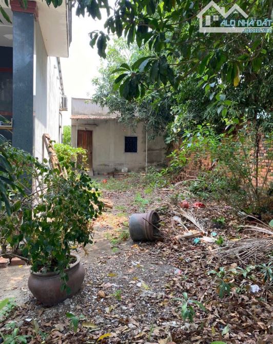 Thanh Lí Lô Đất Phường An Hoà Cách Đường Ngô Quyền 100m . - 2
